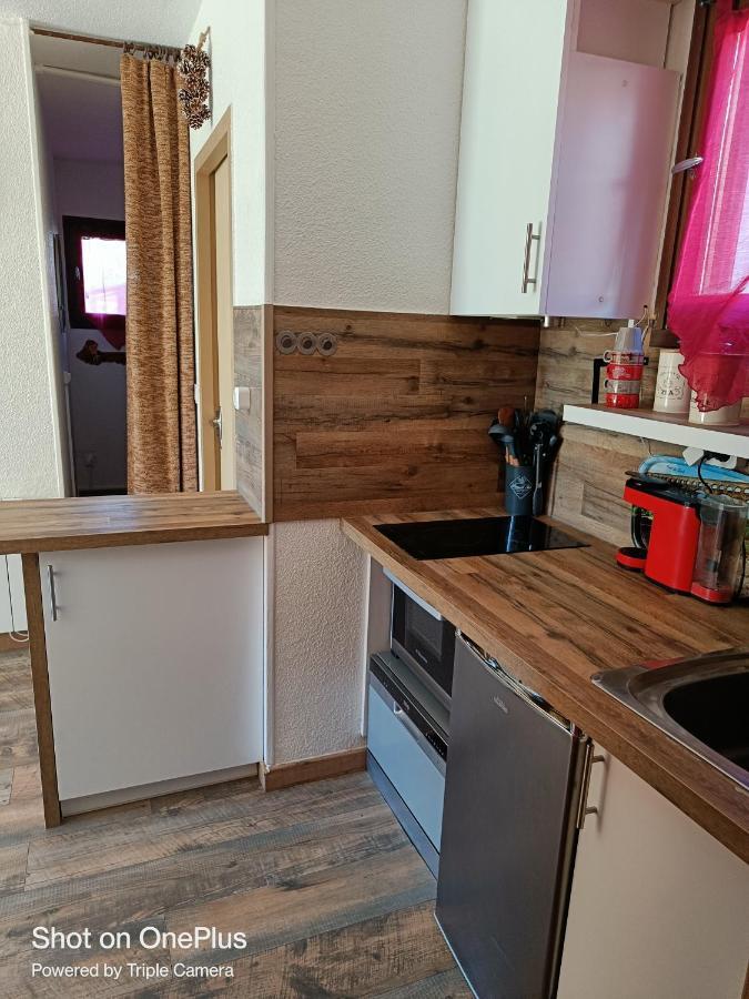 Appartement Cosy, Depaysement Assure Font-Romeu-Odeillo-Via Dış mekan fotoğraf